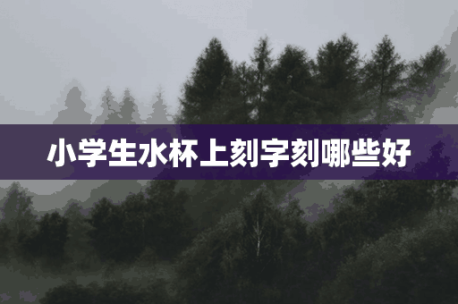 小学生水杯上刻字刻哪些好(小学生水杯上刻字刻哪些好呢)